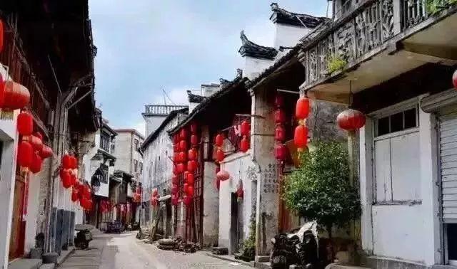 机智问答网页-解答你的疑问-日语,科娃尼鸡,是什么意思专家
